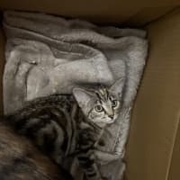 Photo of Dotty