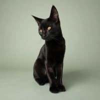 Photo of Velma