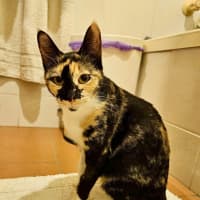 Photo of Neve Now Stevie