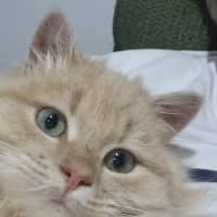 Photo of Wesley