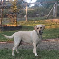 Photo of Hayleywaley