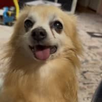 Photo of Coco
