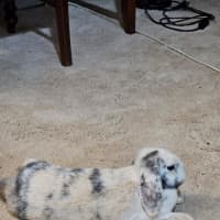 Photo of Dorothy
