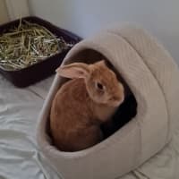 Photo of Yoghurt And Yum Cha