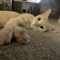 Photo of Ivy