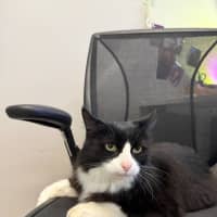 Photo of 🐧 Oscar 7113 🐧