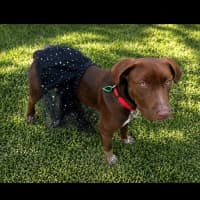 Photo of Cino