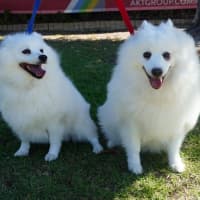 Photo of Lexie And Tudor