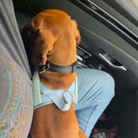 Photo of Stanley