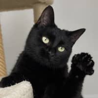 Photo of Kiwi