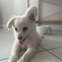 Photo of Handsome Jack 