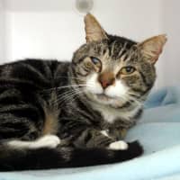 Photo of Krieg Sta013704