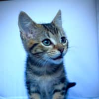 Photo of Zippy