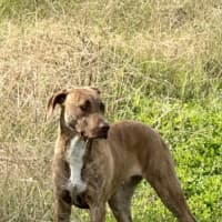 Photo of Jax