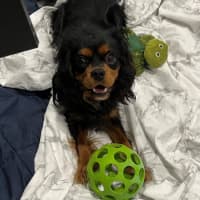 Photo of Walter Quinnell