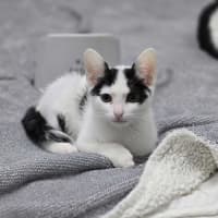 Photo of Aspen