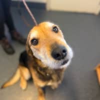 Photo of Bruce