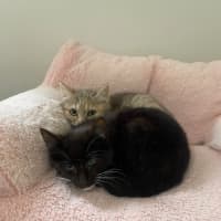 Photo of Astrid & Nova