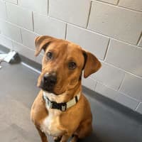 Photo of Bruno