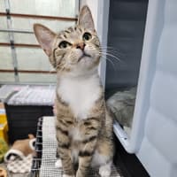 Photo of Milo