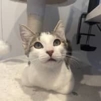 Photo of Gnocchi 🥔