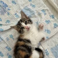 Photo of Clara