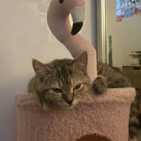 Photo of Big Sister