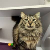 Photo of Hercules 