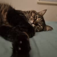 Photo of Tom