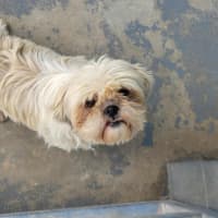 Photo of Molly & Milly