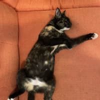 Photo of Wednesday 