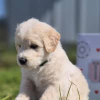 Photo of Burt