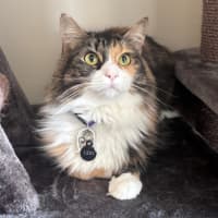 Photo of Lexi