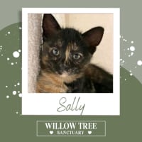 Photo of Sally