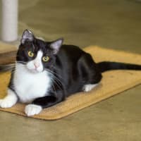Photo of Tucker