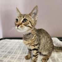 Photo of Andy   On Display @ Vets On Parker