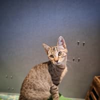 Photo of Roy