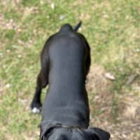 Photo of Biggie
