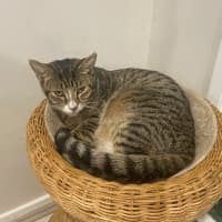 Photo of Ron (Weasley) Of Harry Potter Fame