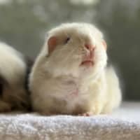 Photo of Taylor & Swift