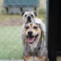Photo of Matilda
