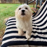 Photo of Sunny