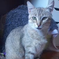 Photo of Esmerelda (Essie) 