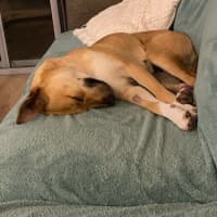 Photo of Kaybaby