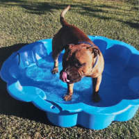 Photo of Bambino And Sammi 