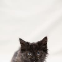Photo of Kelsie