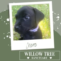 Photo of Xero