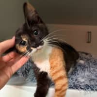 Photo of Sprout