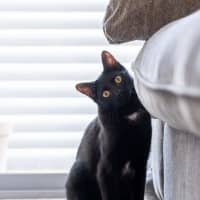 Photo of Olive