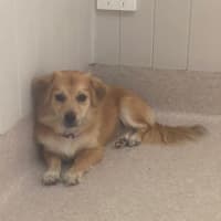 Photo of Bella